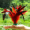 Kick Shuttlecocks, Jianzi Feather Shuttlecock, Develop fitness and teamwork 2