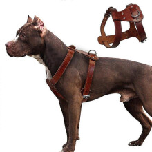 (S:Chest 30-50cm) Robust Genuine Leather Dog Collar with Durability for Small to Large Breeds Suitable for Boxers