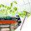 Hand strewing wagon Seeder, Removable Precision garden sawing device planter 2