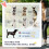 Foldable Pet Stroller for Dogs with Cup Holder & Basket 5