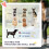 Blue One-Touch Folding Pet Stroller with EVA Wheels 5