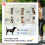 Foldable Pet Stroller for Small Dogs & Cats, Black 5