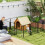 12-Panel Black Dog Playpen for Medium Dogs, 80cm High 4