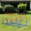 Blue 4-Piece Portable Dog Agility Set for Training 4
