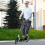 Adjustable Folding Kick Scooter for Ages 14+, Dual Brake 4