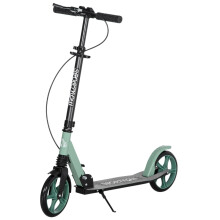Adjustable Folding Kick Scooter for Ages 14+, Dual Brake