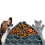 Cats Slow Feeder Fish Shaped Lick Mat 7