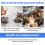 4-Pack Pet Pill Feeder with Soft Tip Feeding Tool Kit,(Blue) 8