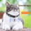 Pet Anti Lost GPS Tracker Bluetooth Smart Waterproof Locator,Cat 8
