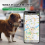 Pet Anti Lost GPS Tracker Bluetooth Smart Waterproof Locator,Cat 6
