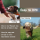 2 Pcs Pheasant Dummy Bumper Toy for Hunting Retriever,Pheasants 6