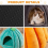 Cat Cave Bed,Cat Tent with Removable Cushion Orange Red S 6