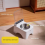 Smart Cat Bowl with Infrared Sensor Lid - Anti-Mouse Pet Feeder 4