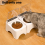 Smart Cat Bowl with Infrared Sensor Lid - Anti-Mouse Pet Feeder 7