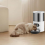 3L Automatic Cats Dispenser Smart Cat Dog Food Feeder 6