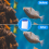 Large Filter Replacement for Whisper Bio-Bag Filters 6