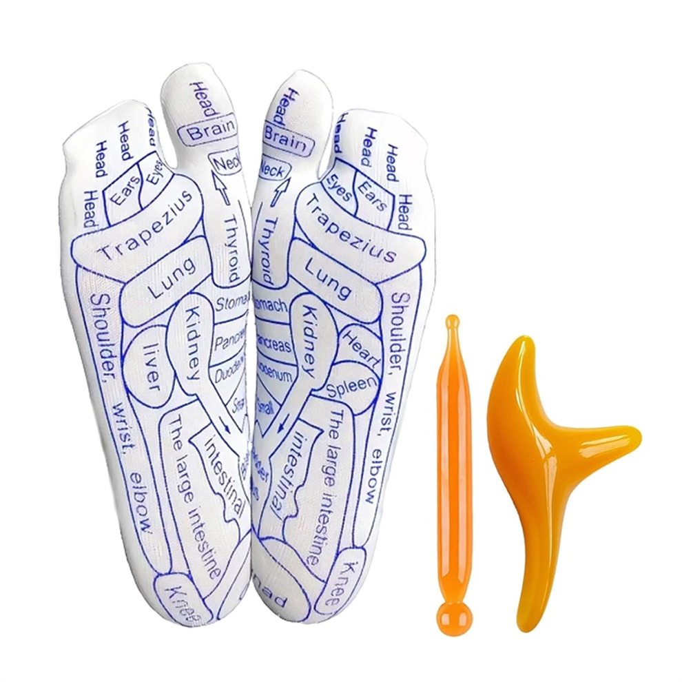 Exogio Reflex Socks, Socks Z100, Reflexology With Tools For Women