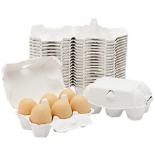 50 Pieces Paper for Chicken Eggs Pulp Fiber Holds 6 Count Farm