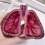 Human Organ Body Art Lung Shape Resin Ashtray 7