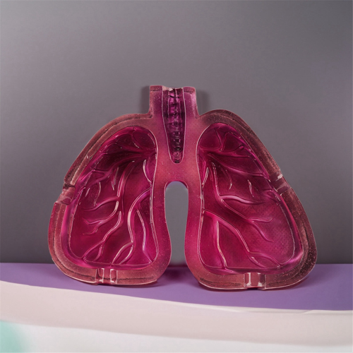 Human Organ Body Art Lung Shape Resin Ashtray 2
