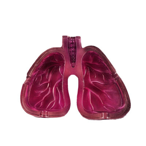 Human Organ Body Art Lung Shape Resin Ashtray