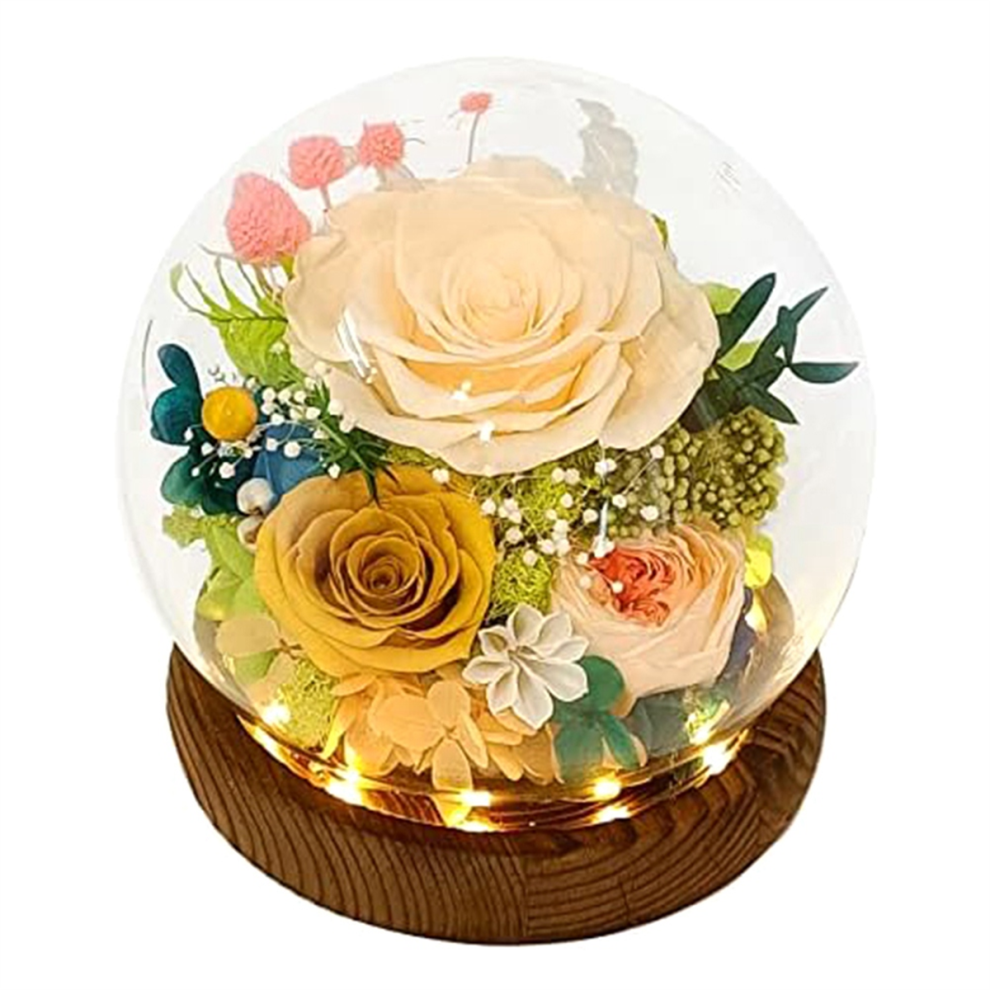 Long-Lasting Real Flowers, Floral Gift to You for Send Love-image-OPC-PJ26NTJ-NEW