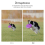 60mm Cell Phone Telephoto Lens Universal 4