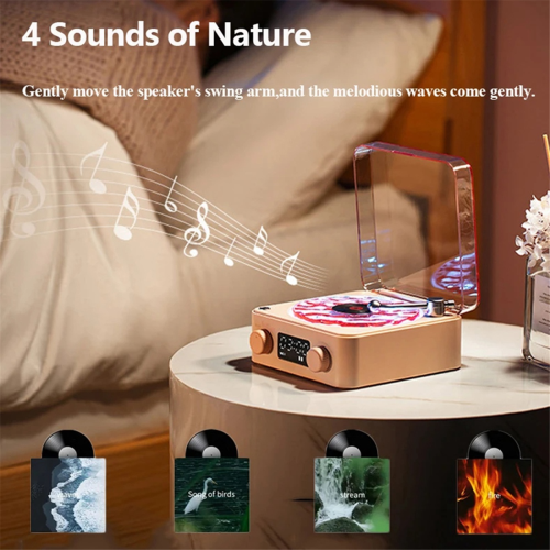 Retro Record Player Bluetooth Audio High Quality Wireless Speaker 2