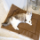 Warm Thickened Cat Foldable Pet Mat for Cats Small Dogs Indoor, B 2