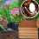 10pcs Organic coconut fiber for plants, organic bricks 4