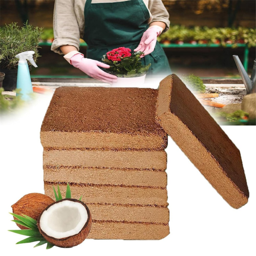 10pcs Organic coconut fiber for plants, organic bricks 1