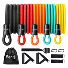 Resistance Bands with Handles, Exercise Set