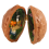 Walnut Shell , ,Handmade Doll House,E 3