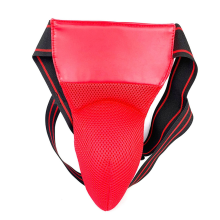 Groin Protector for Boxing, Taekwondo, Martial Arts Training, XL