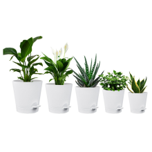 5 Pack Inch Self Watering Pots for Indoor Plants, Flower White