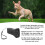 Dog Repeller Dual Sensor Ultrasound LED Laser USB 75g 4