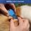 3 Pcs Tick Remover Tool Portable,for Pet and Humans,Safe Reliable 5