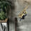 Alto Saxophone Stand Wall Mount Holder 5