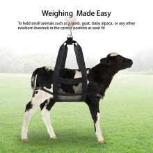 4X Calf Sling for Weighing Small Animals,Livestock Sling, Hang Scale, Scale Hanging Weight