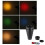 Conical Snoot with Honeycomb Grid 5Pcs Color Filter Kit 2