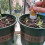 Small kernel strewer upgrade handheld sowing tool for tiny kernel 3