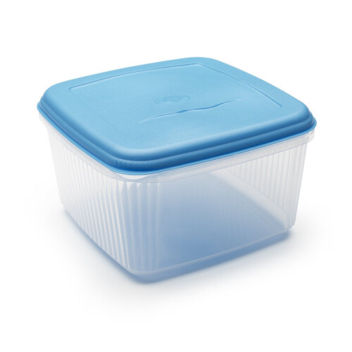 Addis Addis 10L Square Lunchbox Food Container. Transparent With A Blue Lid.