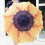 Sunflower Umbrella AntiUV Windproof Compact Folding 98 cm 5