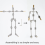 Armature Kit - DIY Metallpuppenfigur Skelett 2