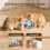 Fontaine à eau pour chat en acier inoxydable, prise UE 3
