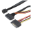 Câble SAS HD 12G intégré vers U.2 36P SFF-8643 vers SAS U.2 SFF-8639 2