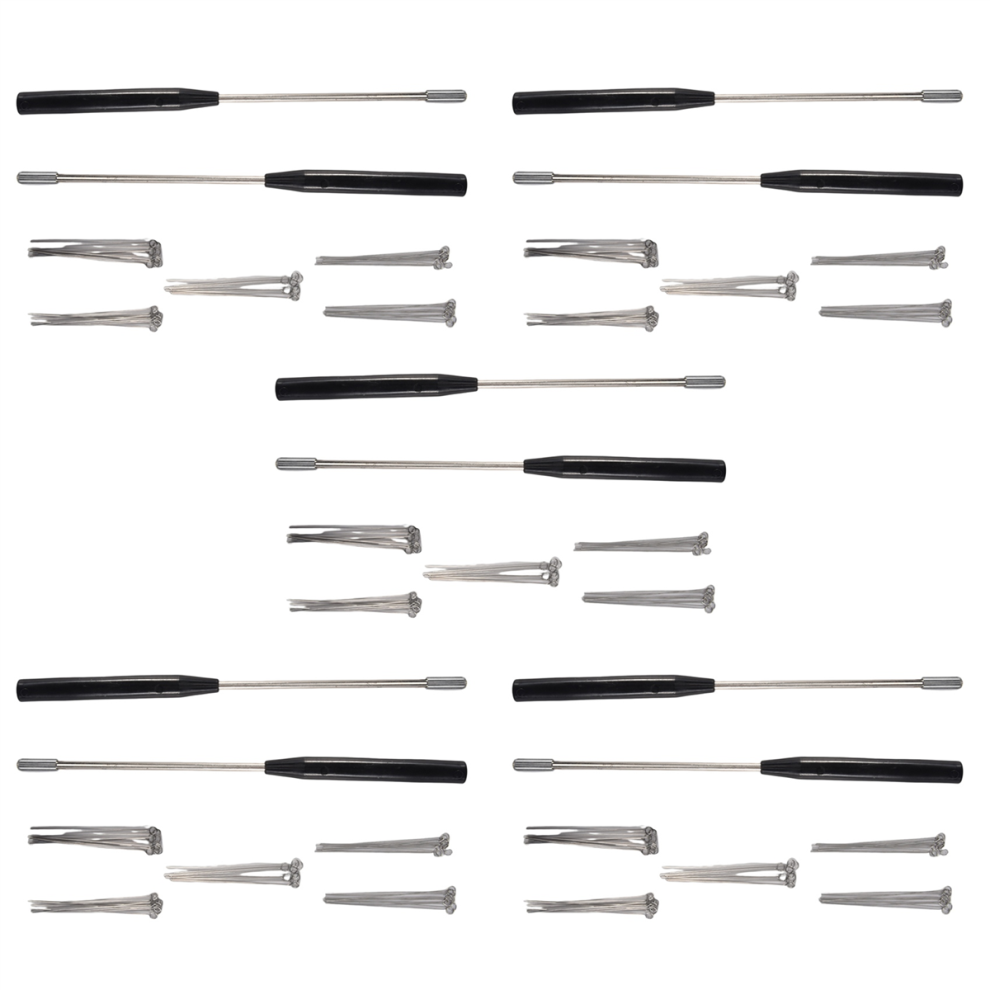 2 Stuks Inoculatiehouders Met 50 Stuks 10UL Naaldpunten Inoculatielus-image