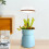 Height Adjustable with On/Off Timer 3/6/12H , 4 Dimmable Brightness 6