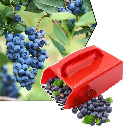 Colhedor de frutas vermelhas, frutas vermelhas e ancinhos com pente metálico e cabo ergonômico 1
