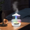Rain Cloud Humidifier 4